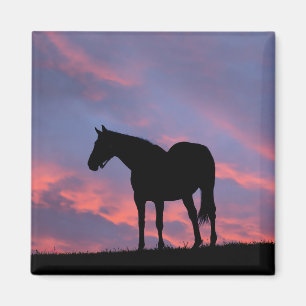 Thoroughbred Horse Silhouetted at Sunrise Magnet