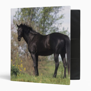 Thoroughbred Horse Standing Binder