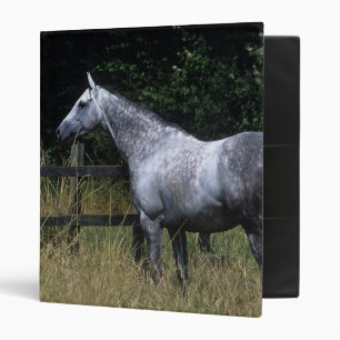 Thoroughbred Horse Standing by Fence Binder