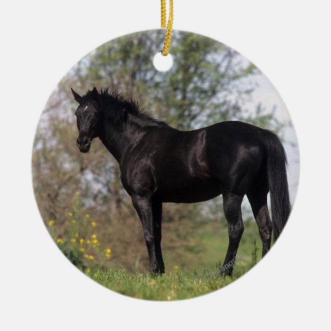 Thoroughbred Horse Standing Ceramic Ornament (Front)