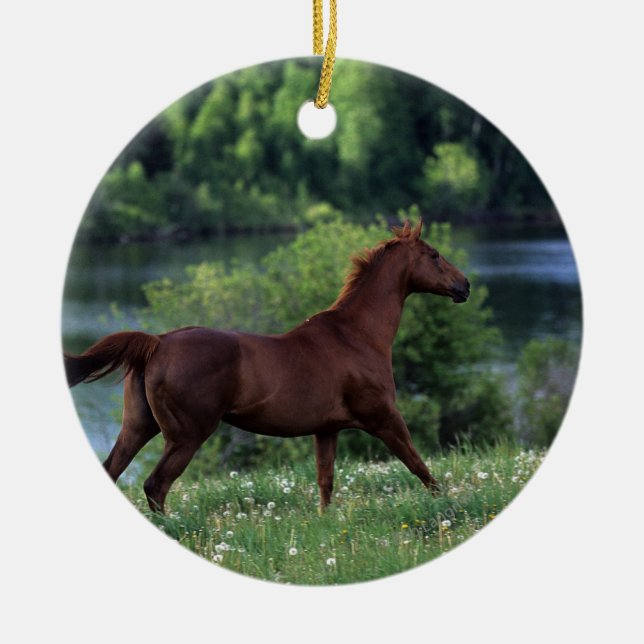Thoroughbred Horse Standing in Flowers Ceramic Ornament (Front)