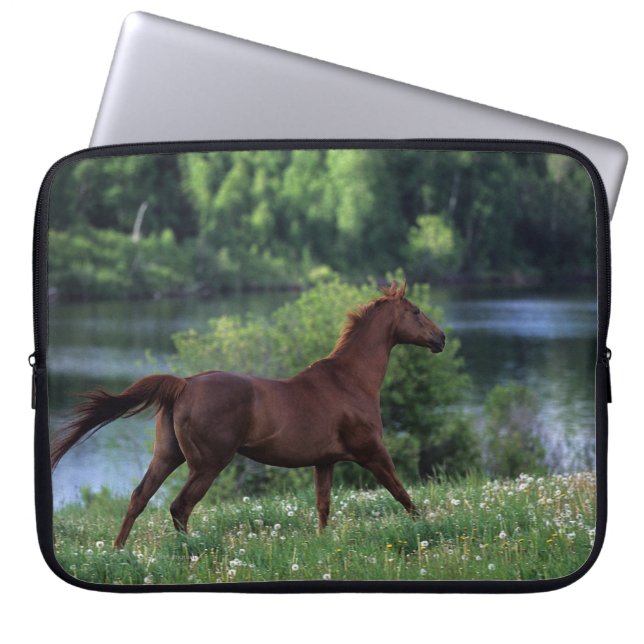 Thoroughbred Horse Standing in Flowers Laptop Sleeve (Front)
