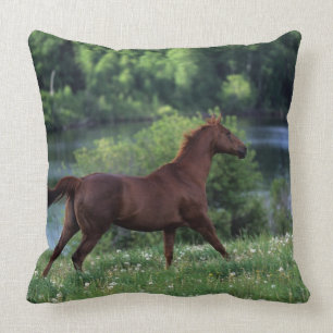 Thoroughbred Horse Standing in Flowers Throw Pillow