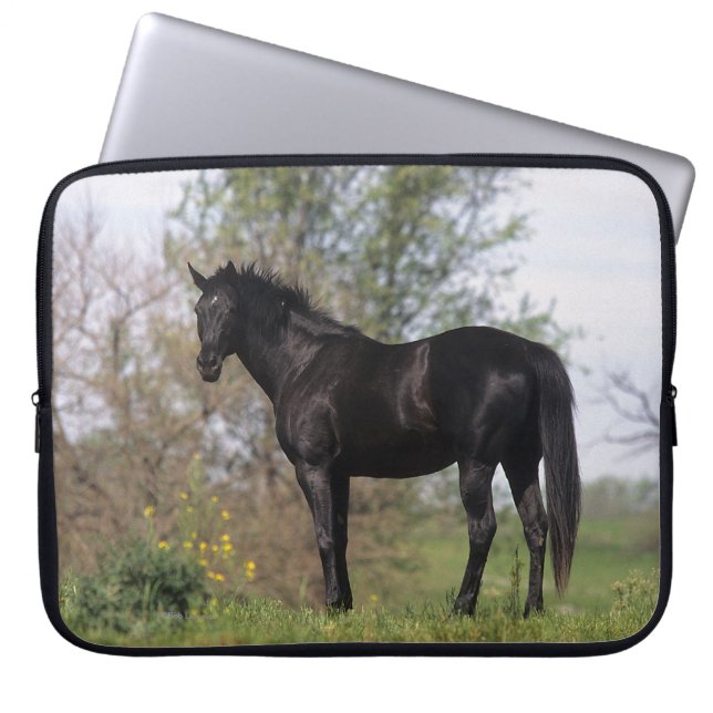Thoroughbred Horse Standing Laptop Sleeve (Front)