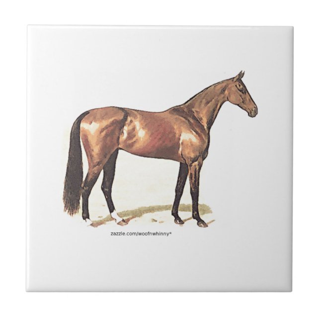 Thoroughbred Horse Tile (Front)