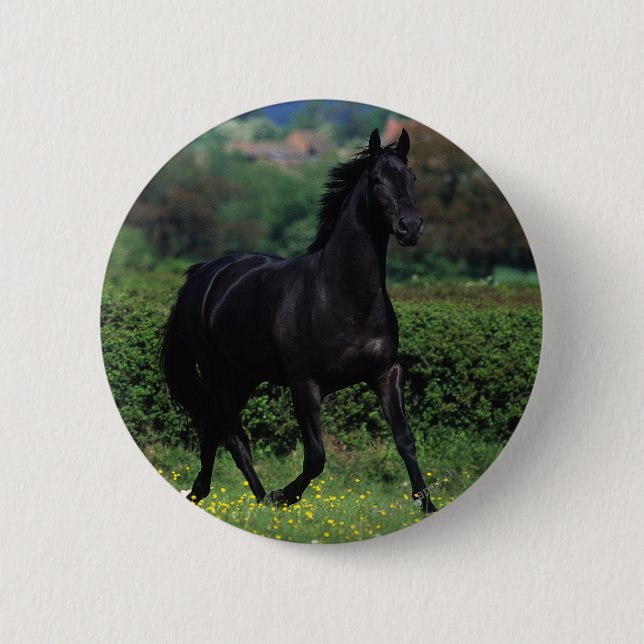 Thoroughbred Horses in Flower Field 2 Inch Round Button (Front)