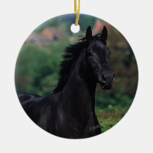 Thoroughbred Horses in Flower Field Ceramic Ornament