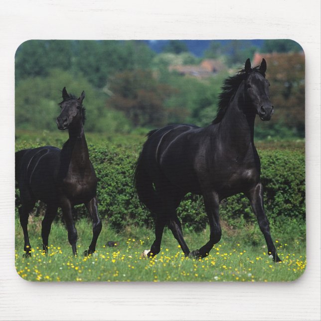 Thoroughbred Horses in Flower Field Mouse Pad (Front)