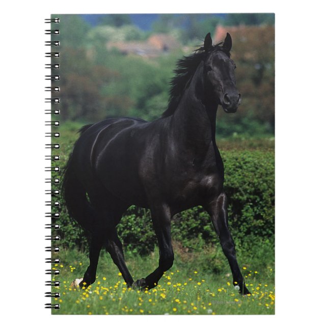 Thoroughbred Horses in Flower Field Notebook (Front)