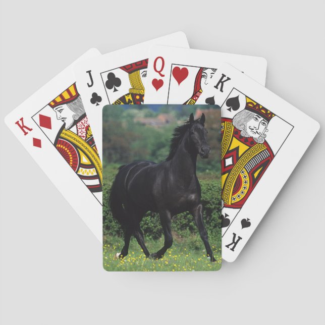 Thoroughbred Horses in Flower Field Playing Cards (Back)