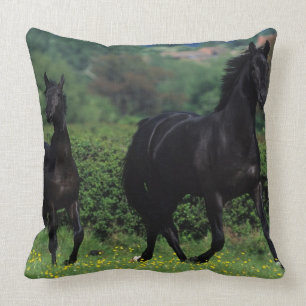 Thoroughbred Horses in Flower Field Throw Pillow