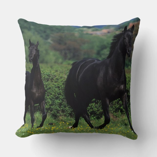 Thoroughbred Horses in Flower Field Throw Pillow (Front)