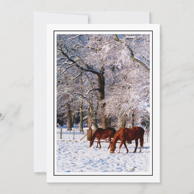 Thoroughbred Horses in Snow Holiday Card (Front)