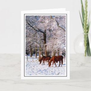 Thoroughbred Horses in Snow Holiday Card