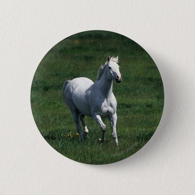 Thoroughbred Mare 2 Inch Round Button (Front)