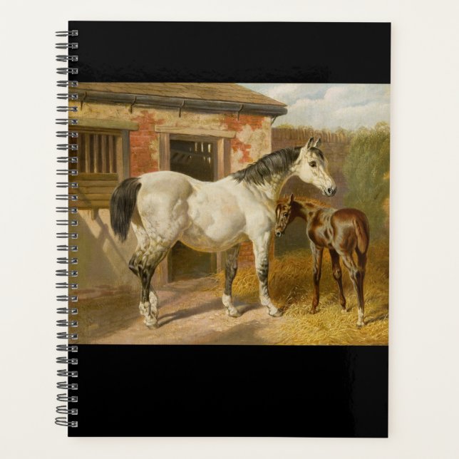 Thoroughbred Mare et Foie Planner (Devant)