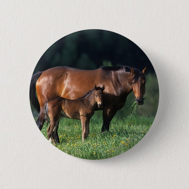 Thoroughbred Mare & Foal 1 2 Inch Round Button (Front)