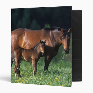 Thoroughbred Mare & Foal 1 Binder