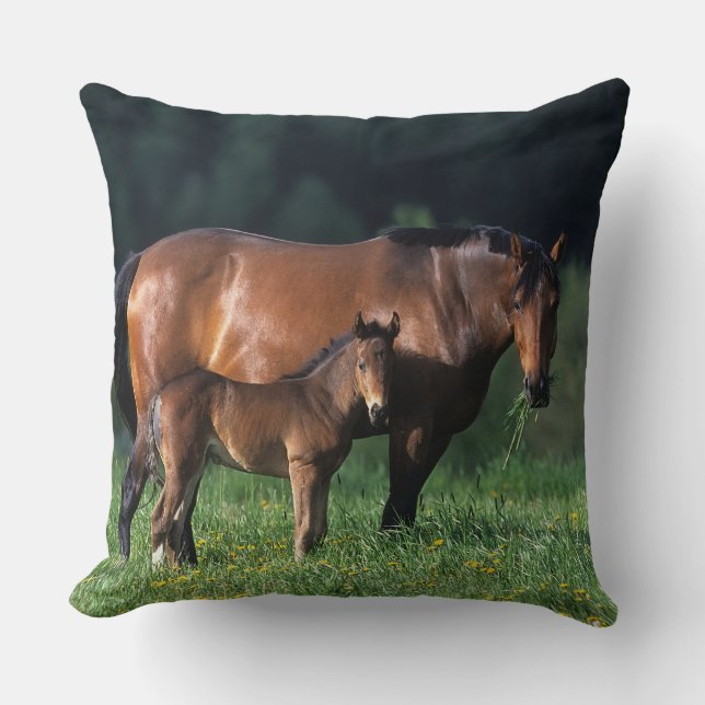Thoroughbred Mare & Foal 1 Throw Pillow (Front)