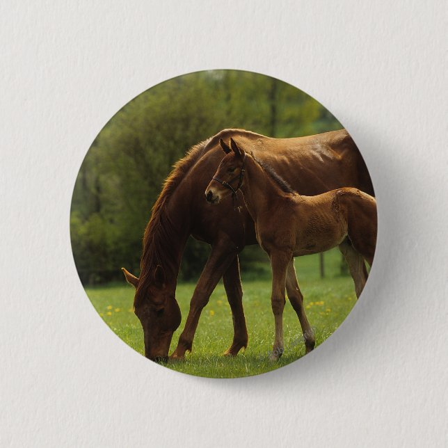 Thoroughbred Mare & Foal 2 2 Inch Round Button (Front)