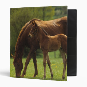 Thoroughbred Mare & Foal 2 Binder