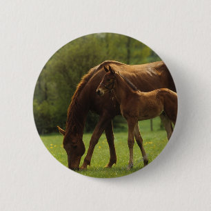 Thoroughbred Mare & Foal 2 Inch Round Button