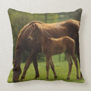 Thoroughbred Mare & Foal 2 Throw Pillow