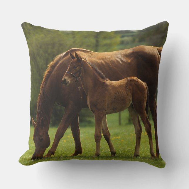 Thoroughbred Mare & Foal 2 Throw Pillow (Front)