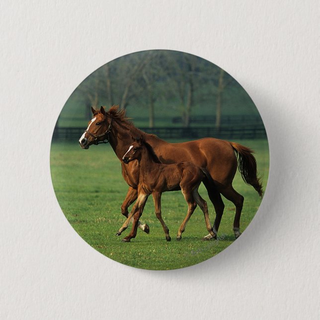 Thoroughbred Mare & Foal 3 2 Inch Round Button (Front)