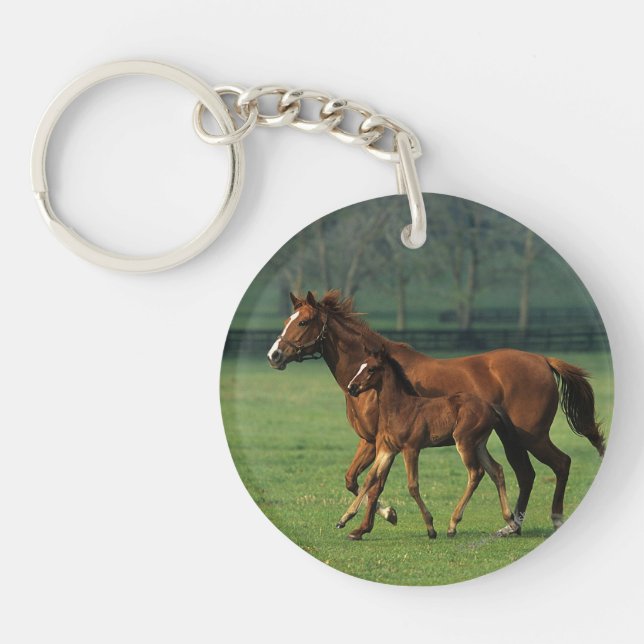 Thoroughbred Mare & Foal 3 Keychain (Front)