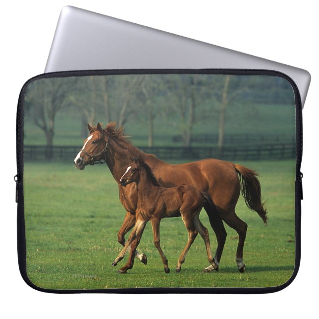 Thoroughbred Mare & Foal 3 Laptop Sleeve (Front)