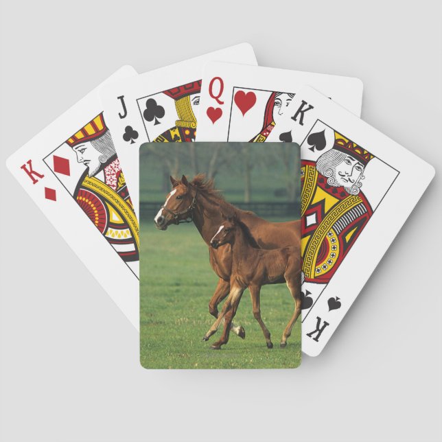 Thoroughbred Mare & Foal 3 Playing Cards (Back)