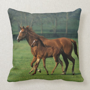 Thoroughbred Mare & Foal 3 Throw Pillow