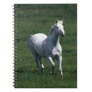 Thoroughbred Mare Notebook