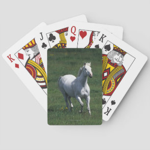 Thoroughbred Mare Playing Cards