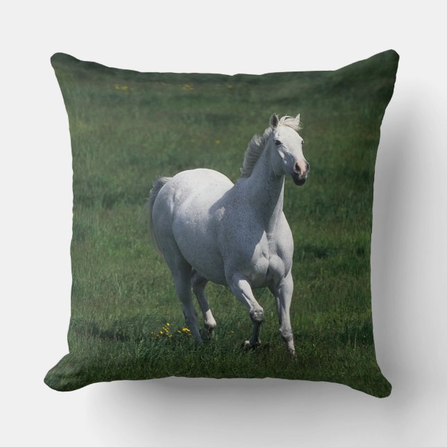 Thoroughbred Mare Throw Pillow (Front)