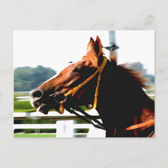 Thoroughbred Race Horse Postcard (Front)