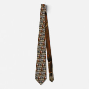 Thoroughbred Race Horse Wins Tie
