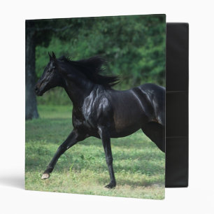 Thoroughbred Running Binder