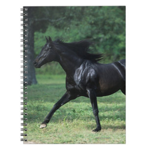 Thoroughbred Running Notebook