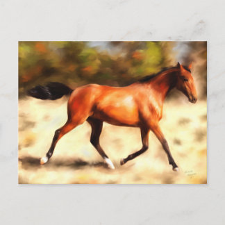 Thoroughbred Spirit Horse Art Postcard