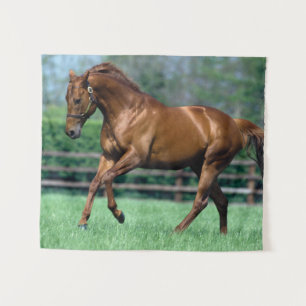 Thoroughbred Stallion, Ireland Tapestry