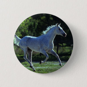 Thoroughbred Stallion Running 2 Inch Round Button
