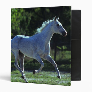 Thoroughbred Stallion Running Binder