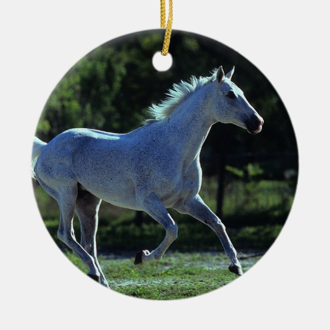 Thoroughbred Stallion Running Ceramic Ornament (Front)