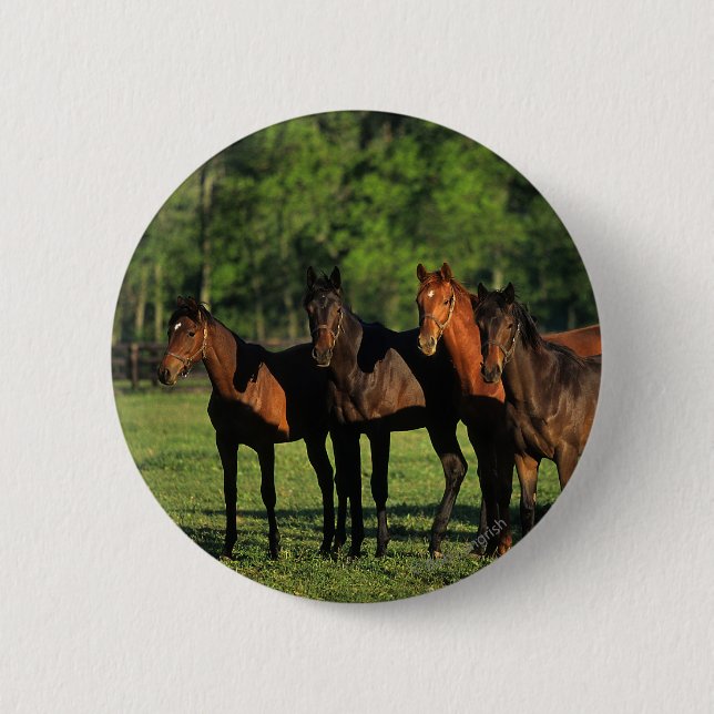Thoroughbred Yearlings 2 Inch Round Button (Front)