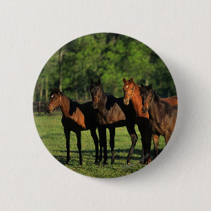 Thoroughbred Yearlings 2 Inch Round Button