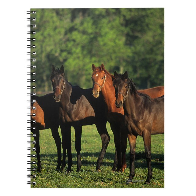 Thoroughbred Yearlings Notebook (Front)