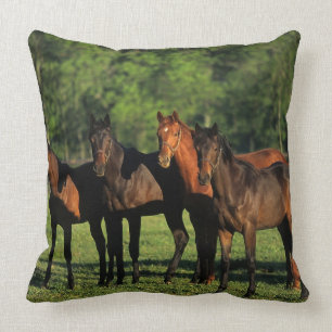 Thoroughbred Yearlings Throw Pillow