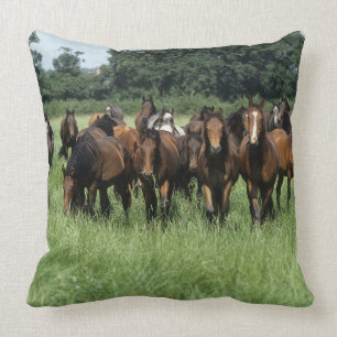 Thoroughbred Youngsters Throw Pillow